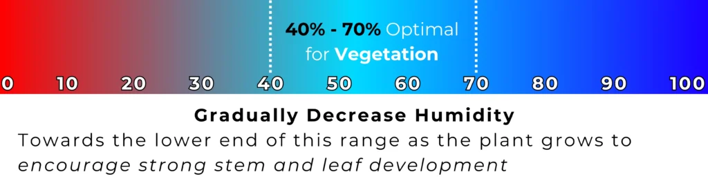 Ideal Humidity for Vegetation 1
